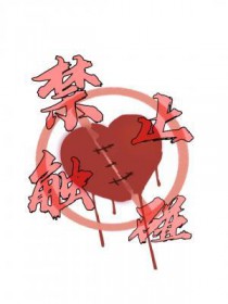 都市医品仙尊