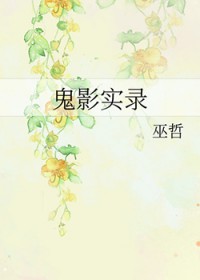 护国神帅